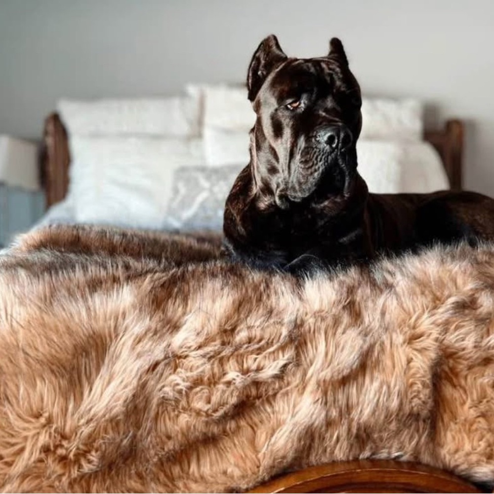 Paw pup dog furniture protector waterproof throw blanket - Picture 2 of 2